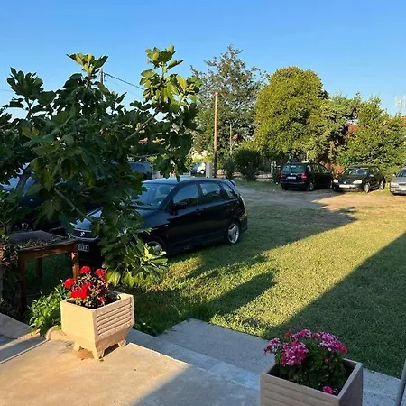 Panorama *